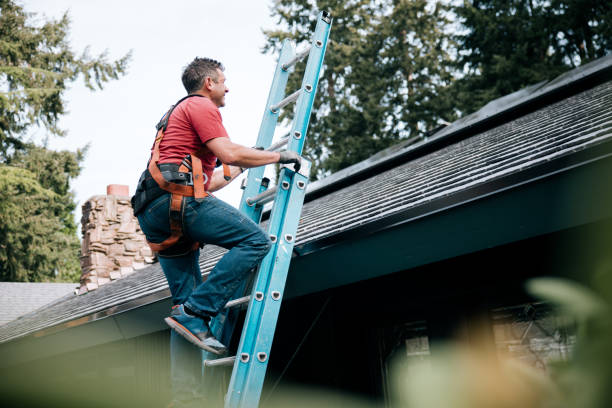 Best Asphalt Shingles Roofing  in Lake Andes, SD